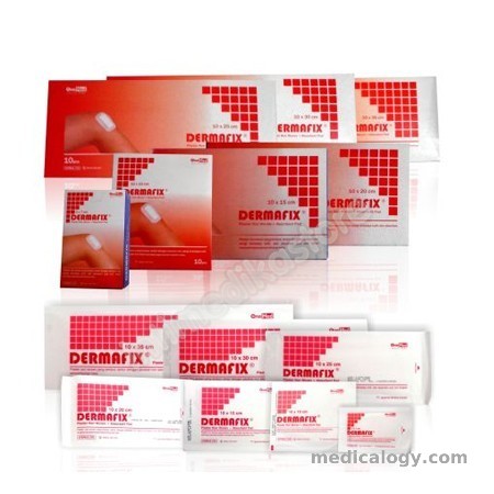 harga Dermafix T 10 x 12 cm Ecer