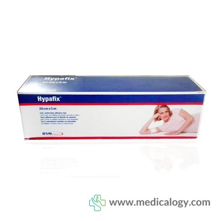 harga Hypafix BSN 20 x 5 cm